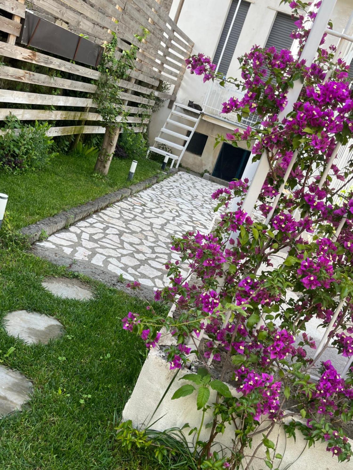 Ammos Suite Sorrento Coast กาสเตลลัมมาเร ดิ สตาเบีย ภายนอก รูปภาพ